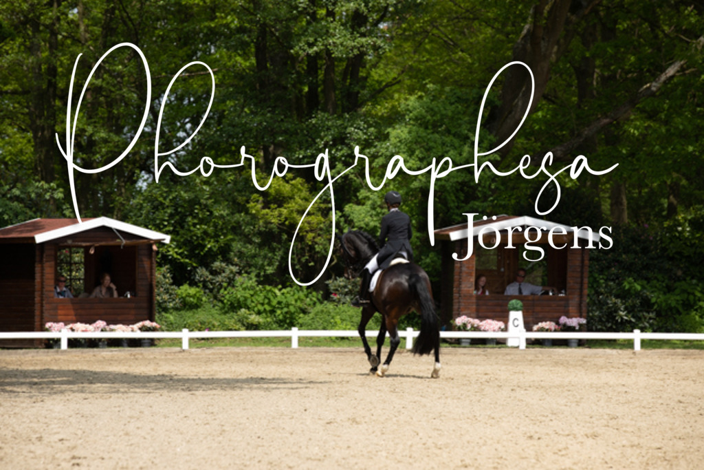 IMG_1558 | photographesa-joergens - Realisiert mit Pictrs.com