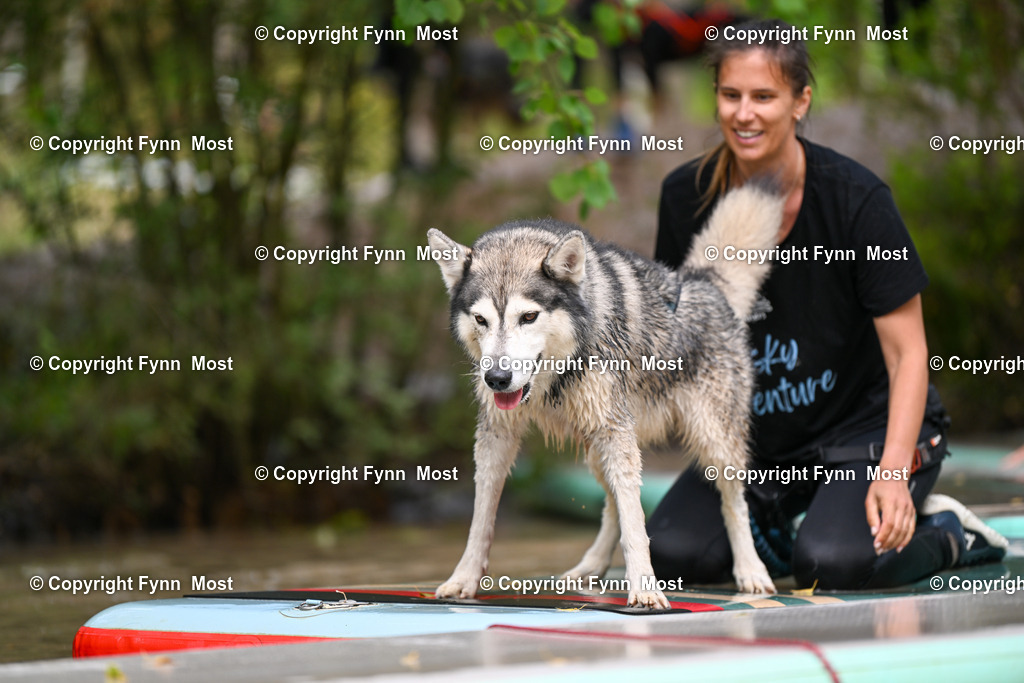 DSC_4070 | Hallo und herzlich Willkommen auf meiner Shop-Seite Fynn Most.

Ich wünsche Dir viel Spaß beim stöbern durch die Bilder, wenn Du Fragen hast oder Bilder vermisst, kannst du mir gerne eine Nachricht schreiben. - Realisiert mit Pictrs.com