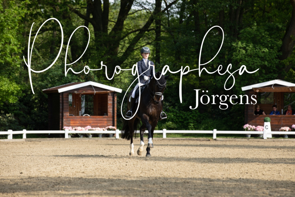 IMG_0100 | photographesa-joergens - Realisiert mit Pictrs.com