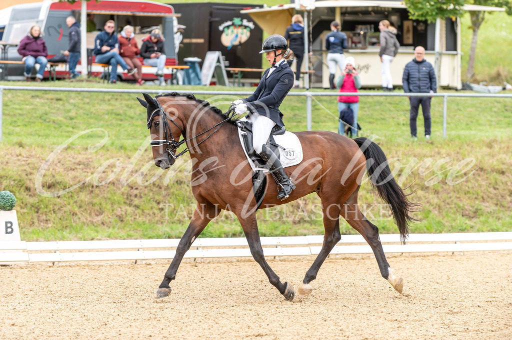 TBL_6302 | Turnierfotos von Reitturnieren in den Landkreisen Biberach, Ravensburg und in ganz Oberschwaben - von Tanja Bläschke - Colorsofahorse - Realisiert mit Pictrs.com