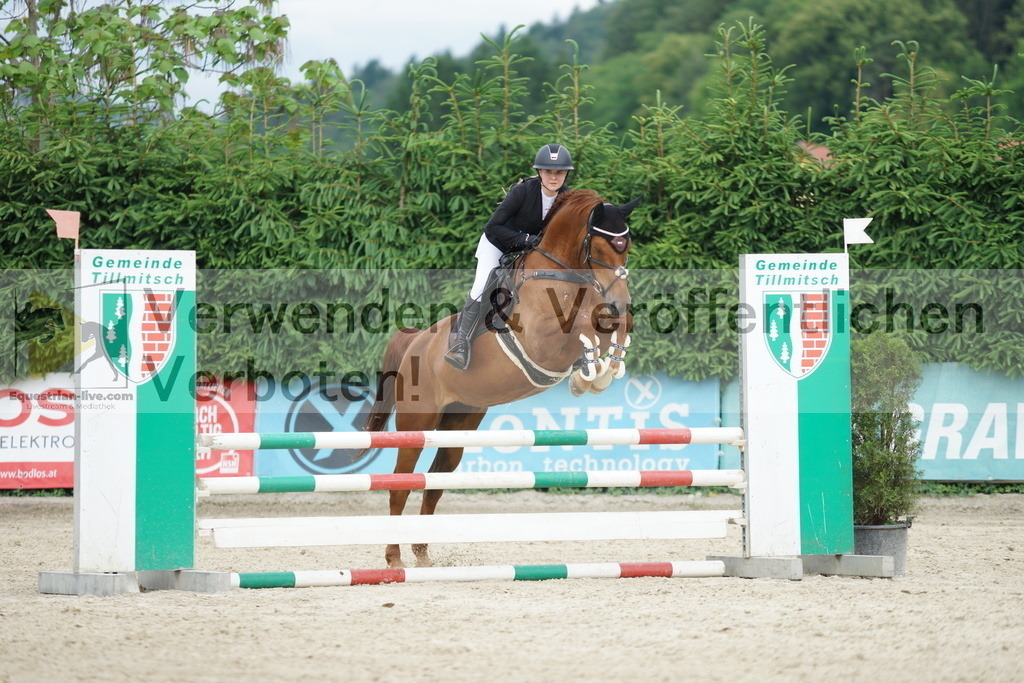 DSC07734 | equestrian-live-com