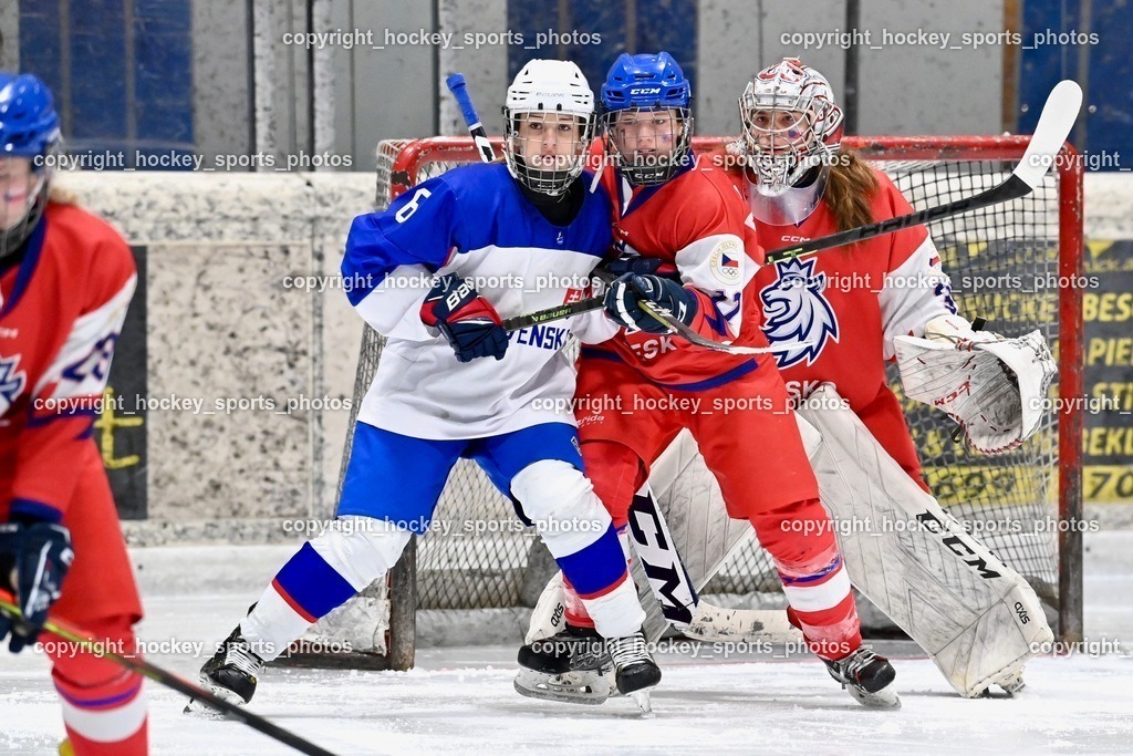 BST_5777 | hockey sports photos, Pressefotos, Sportfotos, hockey247, win 2day icehockeyleague, Handball Austria, Floorball Austria, ÖVV, Kärntner Eishockeyverband, KEHV, KFV, Kärntner Fussballverband, Österreichischer Volleyballverband, Alps Hockey League, ÖFB, 