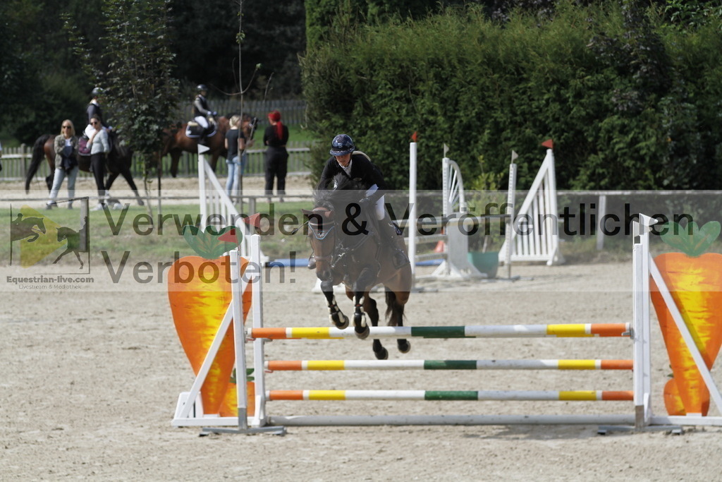 _MG_0062 | equestrian-live-com