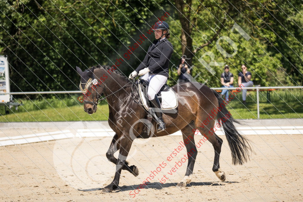 IMG_5438 | Hier findest Du viele Augenblicke aus den Bereichen der Turnier-, Sport- & Tierfotografie. Bilder mit deinem Liebling, Portrait-, Bewerbungs-, Businessbilder können ebenfalls schnell und einfach erstellt werden.