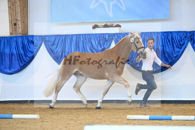 Kat-Nr. 12 Sterzing v. Steingold_Niedermair_60220694 | hf-fotografie - Realisiert mit Pictrs.com