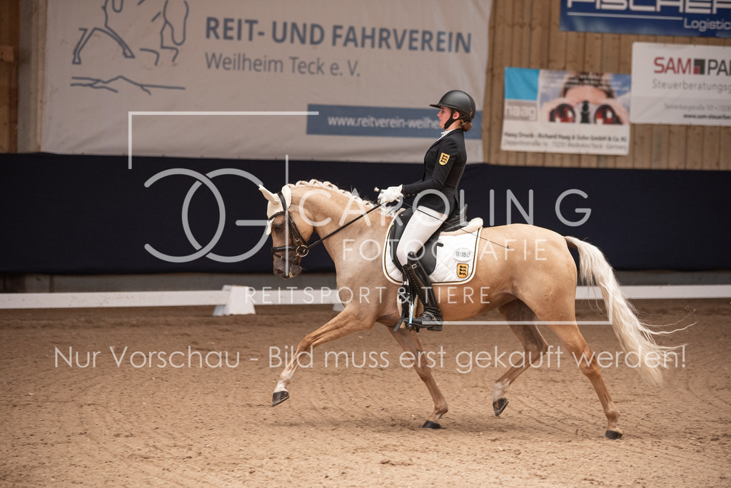 DSC_3239 | Carolin Gieschke