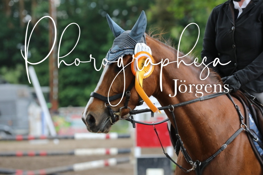 IMG_1983 | photographesa-joergens - Realisiert mit Pictrs.com