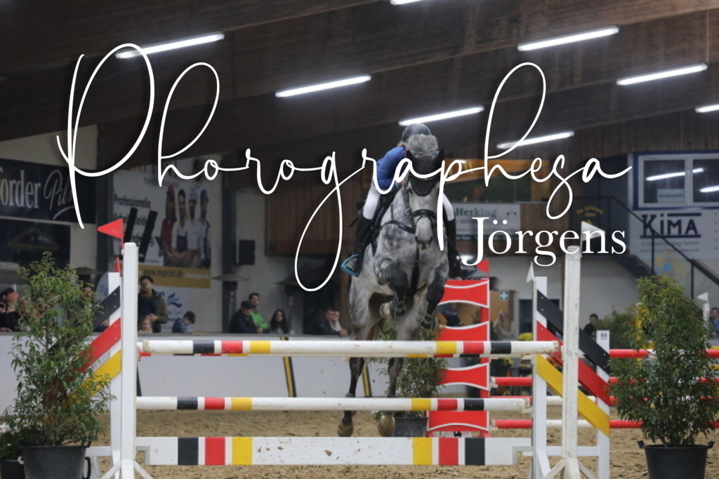 IMG_8168 | photographesa-joergens - Realisiert mit Pictrs.com