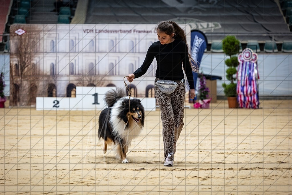 DS - Junior-Handling II_0055 | Markus Heber Photography
