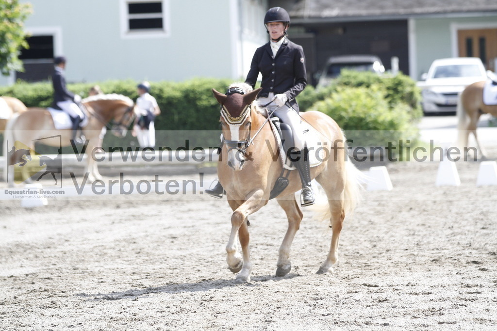 _MG_5554 | equestrian-live-com