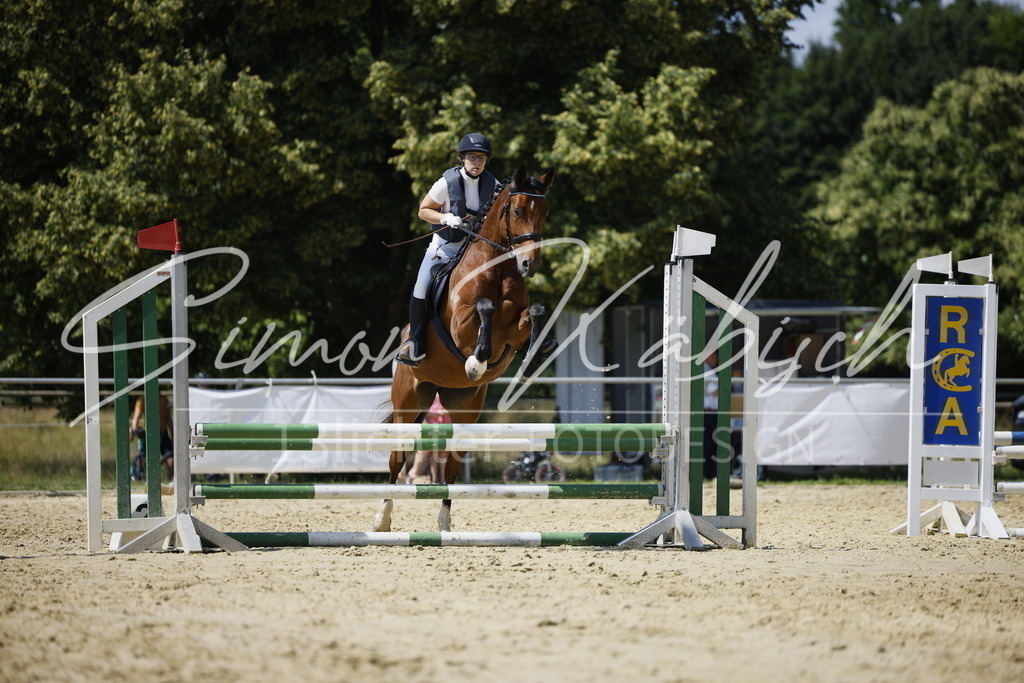 _3LI4186 | Tierfotografie Pferde, Hunde, Katzen, Haustiere.
Turnierfotografie Reitturniere, Reiten, Springreiten, Dressur in Hanau, dem Main-Kinzig-Kreis und dem Rhein-Main- Gebiet um Frankfurt