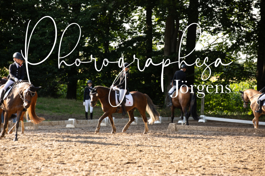 IMG_0763 | photographesa-joergens - Realisiert mit Pictrs.com