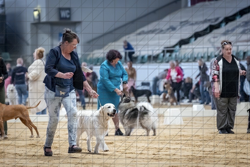 DS - Bester Veteran_0091 | Markus Heber Photography