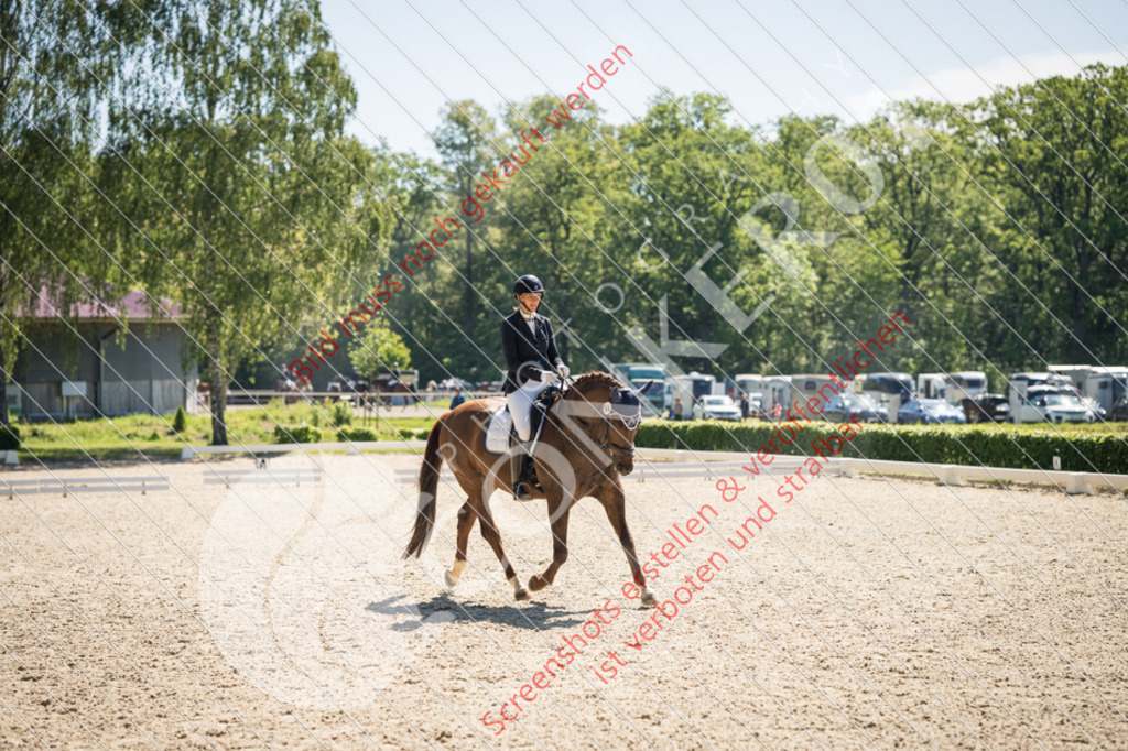 PIR09439 | Hier findest Du viele Augenblicke aus den Bereichen der Turnier-, Sport- & Tierfotografie. Bilder mit deinem Liebling, Portrait-, Bewerbungs-, Businessbilder können ebenfalls schnell und einfach erstellt werden.