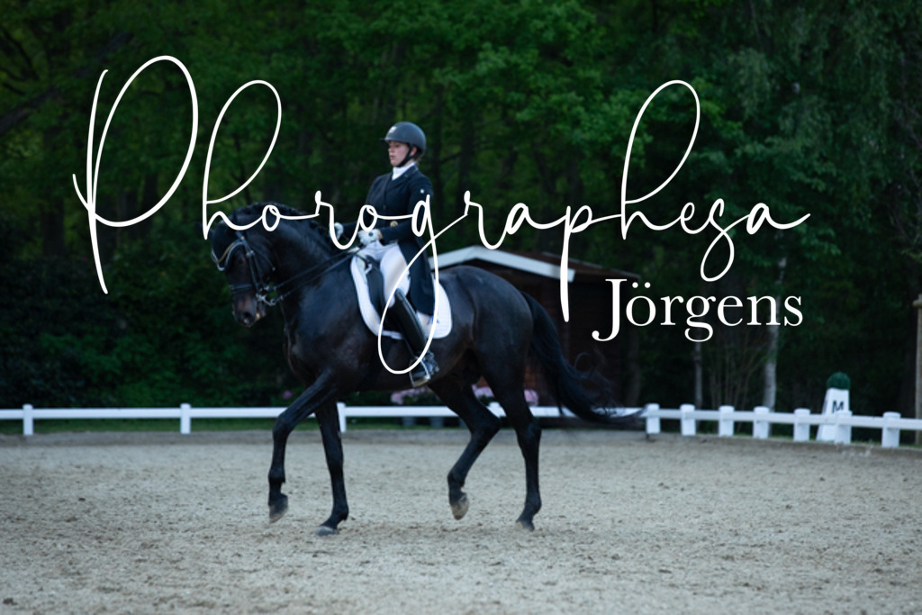 IMG_9745 | photographesa-joergens - Realisiert mit Pictrs.com