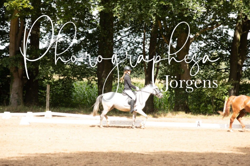 IMG_1752 | photographesa-joergens - Realisiert mit Pictrs.com