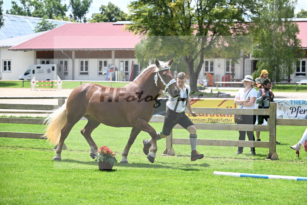 Kat-Nr. 57 Pipa v. Natan_Multerer_22241007 | hf-fotografie - Realisiert mit Pictrs.com