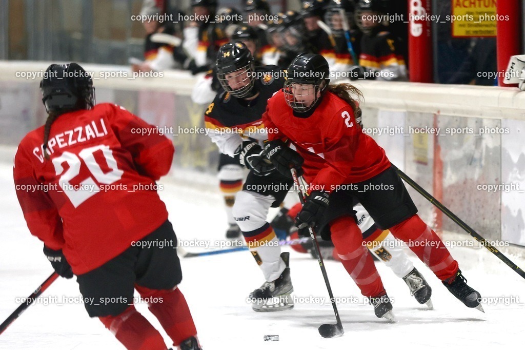 MOWE2347 | hockey sports photos, Pressefotos, Sportfotos, hockey247, win 2day icehockeyleague, Handball Austria, Floorball Austria, ÖVV, Kärntner Eishockeyverband, KEHV, KFV, Kärntner Fussballverband, Österreichischer Volleyballverband, Alps Hockey League, ÖFB, 