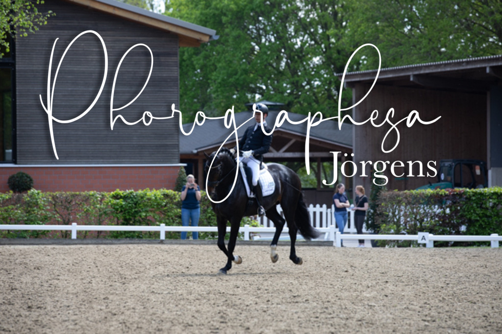IMG_9247 | photographesa-joergens - Realisiert mit Pictrs.com