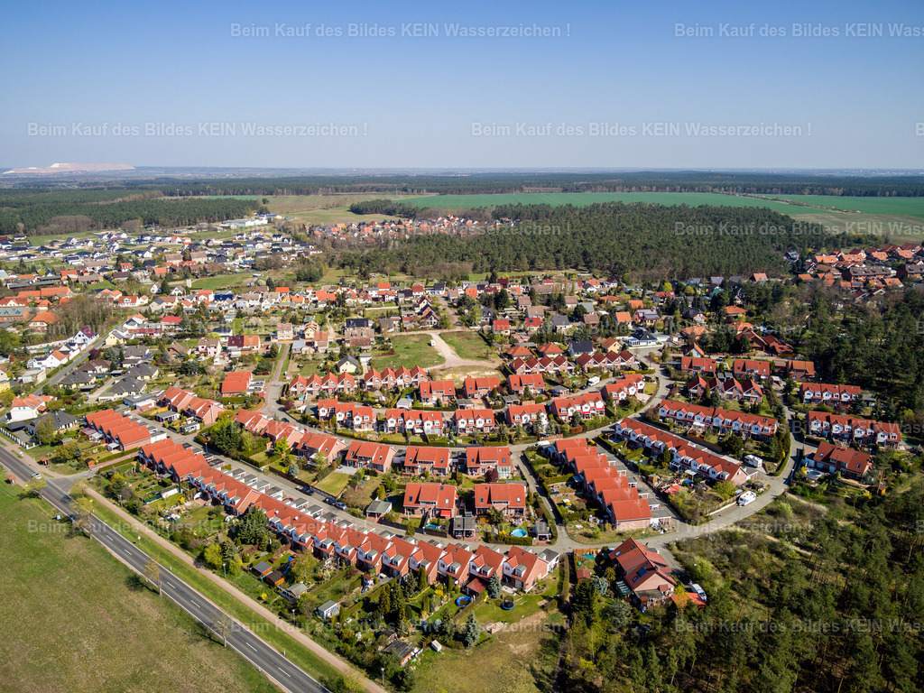 Tronnier Lostau-0012 | Lostau Ahornallee Wohnsiedlung - Realisiert mit Pictrs.com