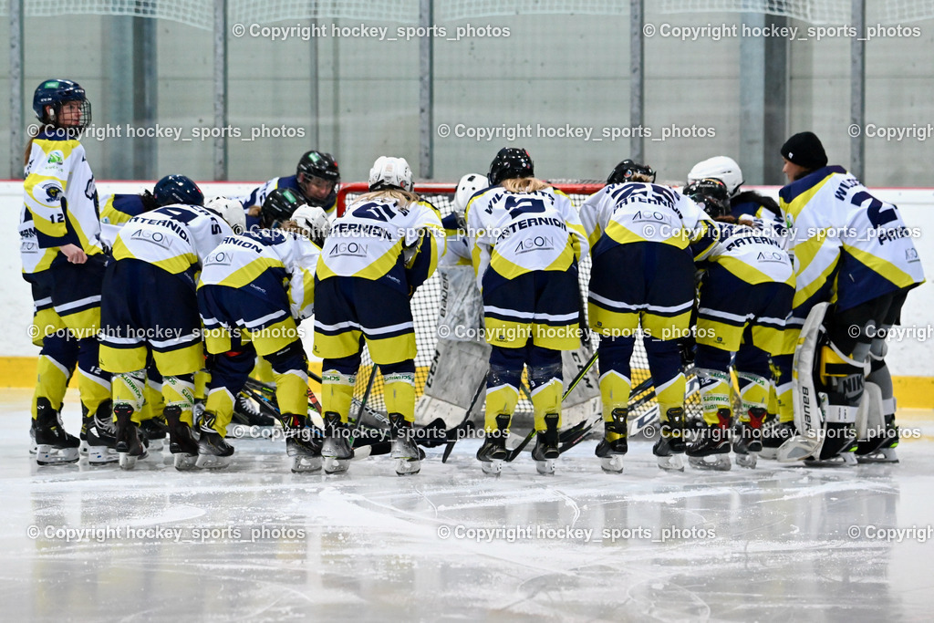 BST_6307 | hockey sports photos, Pressefotos, Sportfotos, hockey247, win 2day icehockeyleague, Handball Austria, Floorball Austria, ÖVV, Kärntner Eishockeyverband, KEHV, KFV, Kärntner Fussballverband, Österreichischer Volleyballverband, Alps Hockey League, ÖFB, 