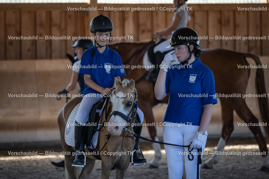 _D5A8584 | Pferdefotografie, Pferdefotografin, Turnierfotografie, Turnierfotografin, Hundefotografie, Hundefotografin, Fotografin, Pärchen, Hochzeit, Pferd