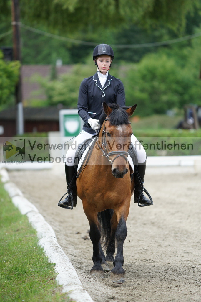 DSC04529 | equestrian-live-com