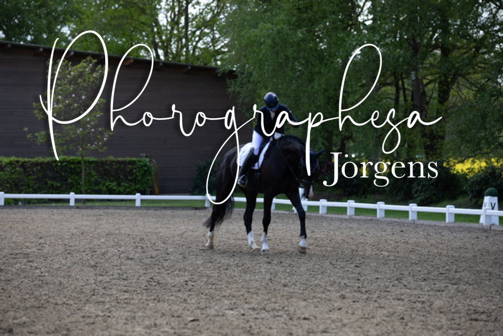 IMG_9426 | photographesa-joergens - Realisiert mit Pictrs.com