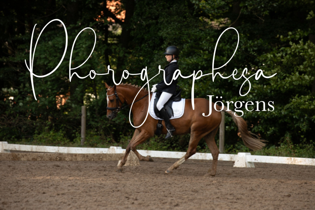 IMG_1521 | photographesa-joergens - Realisiert mit Pictrs.com