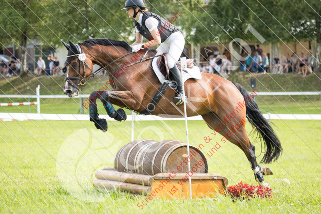 IMG_9054 | Hier findest Du viele Augenblicke aus den Bereichen der Turnier-, Sport- & Tierfotografie. Bilder mit deinem Liebling, Portrait-, Bewerbungs-, Businessbilder können ebenfalls schnell und einfach erstellt werden.