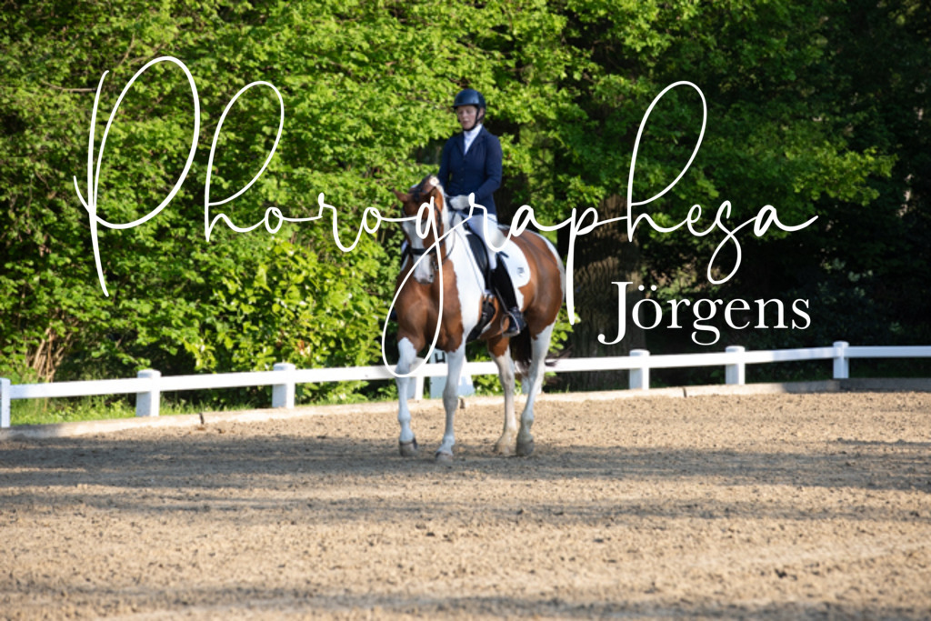 IMG_2019 | photographesa-joergens - Realisiert mit Pictrs.com