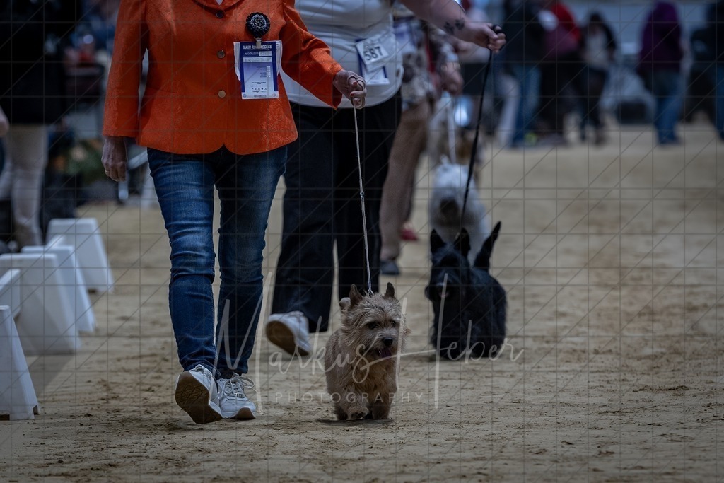 DS - FCI Gruppe 3_0041 | Markus Heber Photography