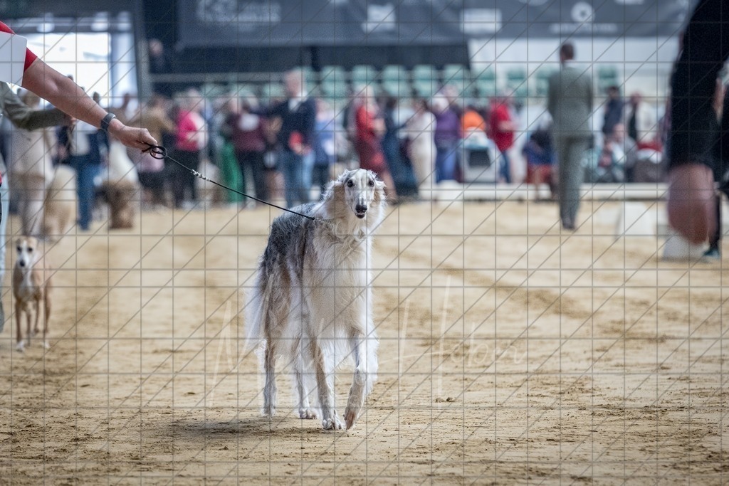 DS - Bester Veteran_0079 | Markus Heber Photography