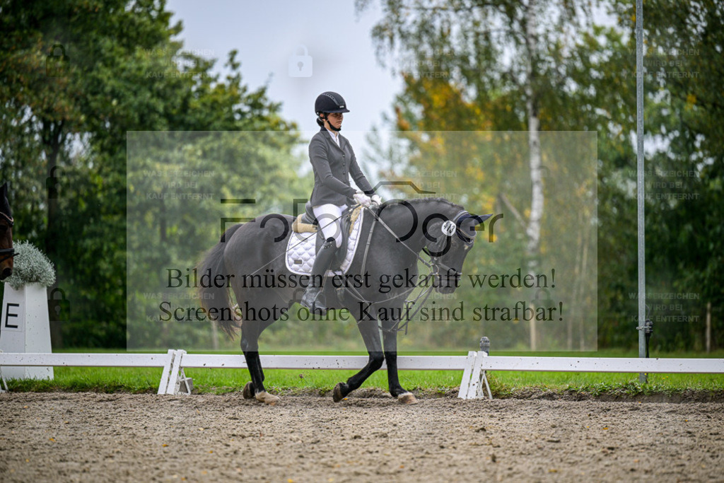 FOTO OGER | Bilder aus dem Reitsport by Foto Oger - Domenic Schlinge - Realisiert mit Pictrs.com