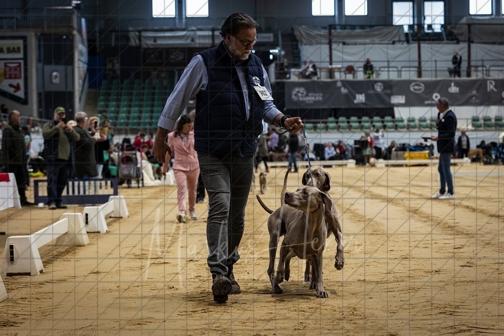 DS - Paarklasse_0037 | Markus Heber Photography