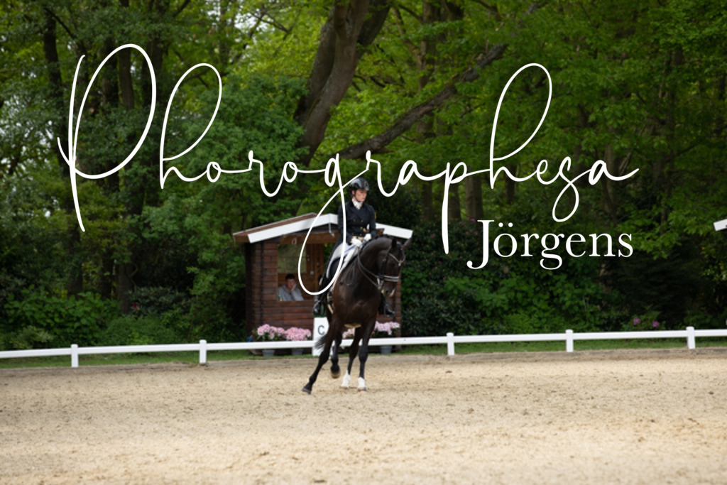 IMG_3125 | photographesa-joergens - Realisiert mit Pictrs.com