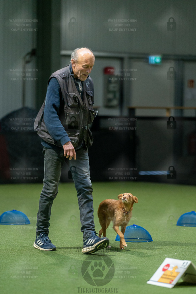 7IV06275 | Professionelle Tierfotografie in Mönchengladbach von Daniel Wirth (allesWIRTHgut). Liebevolle & natürliche Bilder von Hunden & Katzen für unvergessliche Erinnerungen.