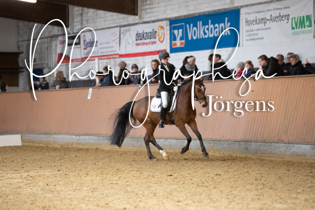IMG_7675 | photographesa-joergens - Realisiert mit Pictrs.com