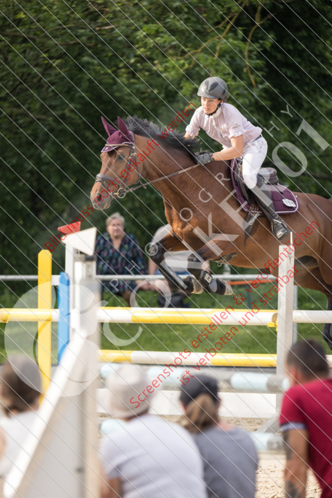 IMG_3157 | Hier findest Du viele Augenblicke aus den Bereichen der Turnier-, Sport- & Tierfotografie. Bilder mit deinem Liebling, Portrait-, Bewerbungs-, Businessbilder können ebenfalls schnell und einfach erstellt werden.