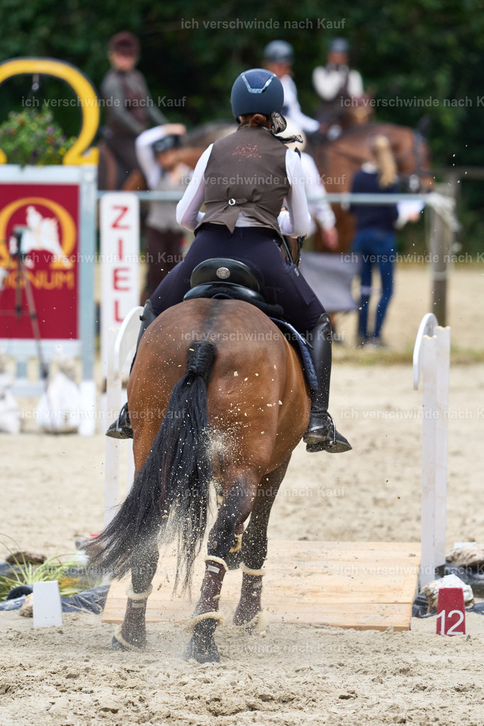 SIN05817_Marixx | working equitationturnier fotograf videograf stoibphotography marixx film working equitation deutschland reitsport turnierfotografie eventfotografie equestrian events