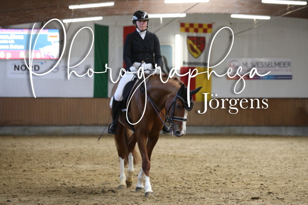 IMG_9616 | photographesa-joergens - Realisiert mit Pictrs.com