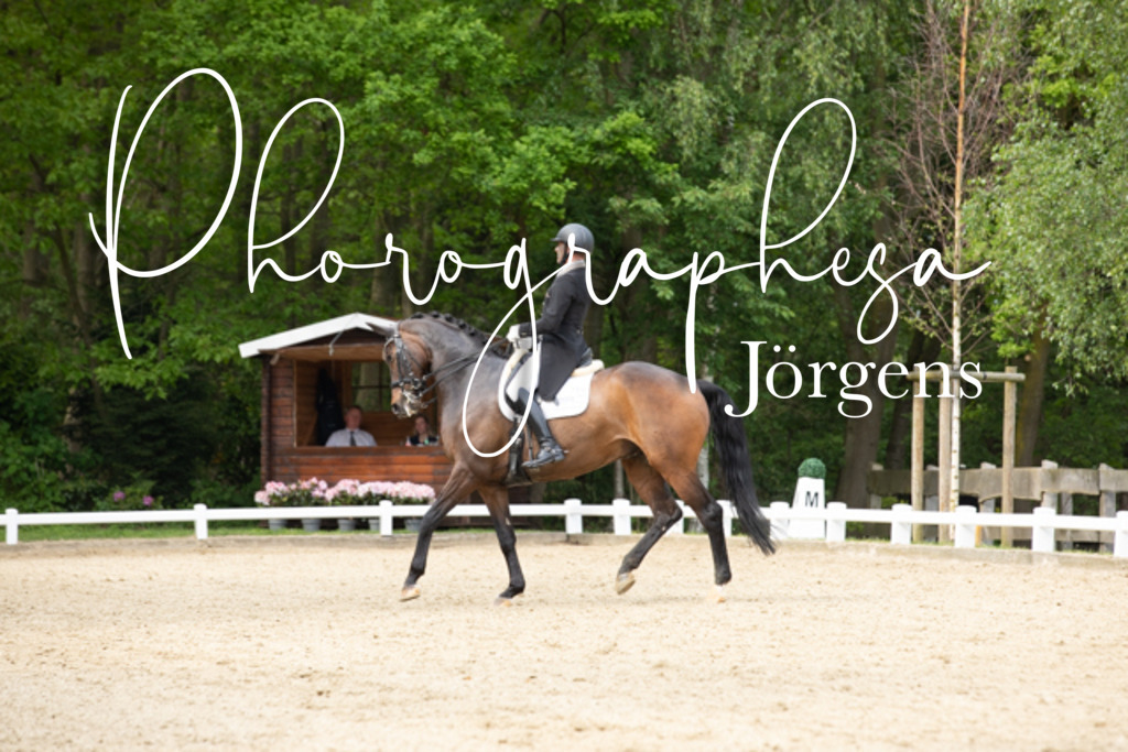IMG_2575 | photographesa-joergens - Realisiert mit Pictrs.com