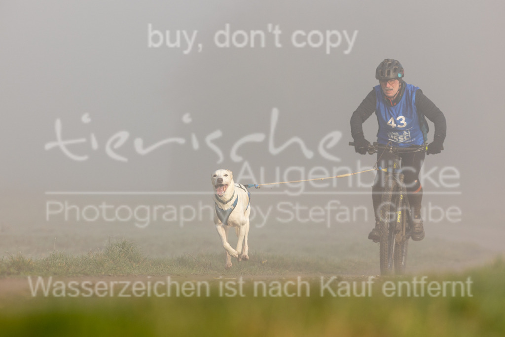 CJ8A5074 | Herzlich Willkommen im Onlineshop von tierische Augenblicke.
Viel Spaß beim aussuchen ihrer Bilder und vielen Dank für ihren Einkauf.
Viele Grüße, ihr Fotograf Stefan Grube