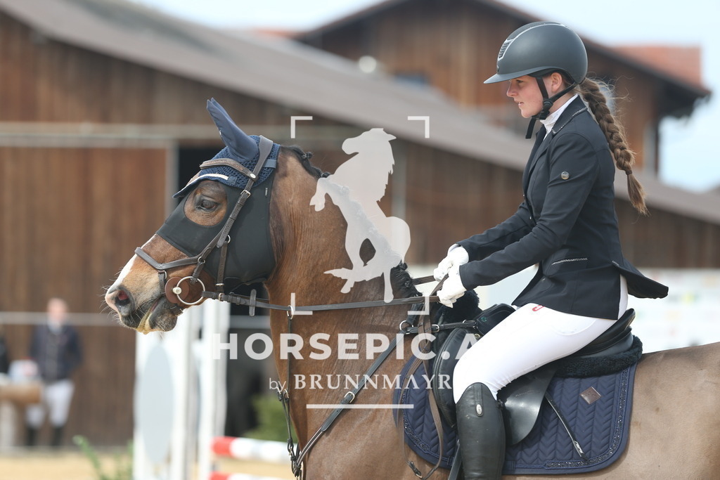 AS8V1514 | Willkommen bei Brunnmayr - Design & Fotografie – Ihrem Spezialisten für Reitturniere und Pferdeveranstaltungen in Oberösterreich, Salzburg und Bayern! Seit über 17 Jahren sind wir leidenschaftlich dabei.