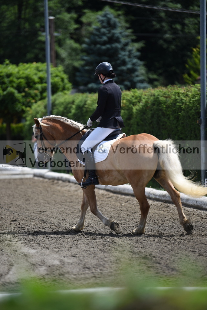 DSC_1243 | equestrian-live-com