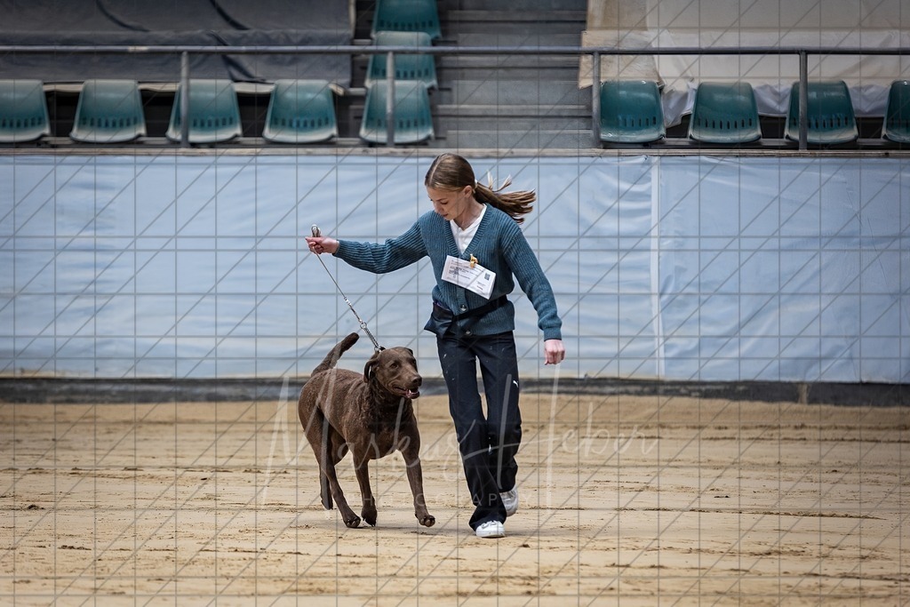 DS - Junior-Handling II_0034 | Markus Heber Photography
