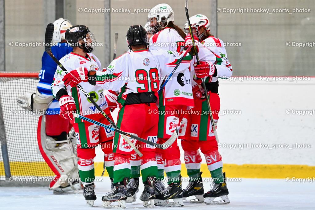 BST_9258 | hockey sports photos, Pressefotos, Sportfotos, hockey247, win 2day icehockeyleague, Handball Austria, Floorball Austria, ÖVV, Kärntner Eishockeyverband, KEHV, KFV, Kärntner Fussballverband, Österreichischer Volleyballverband, Alps Hockey League, ÖFB, 