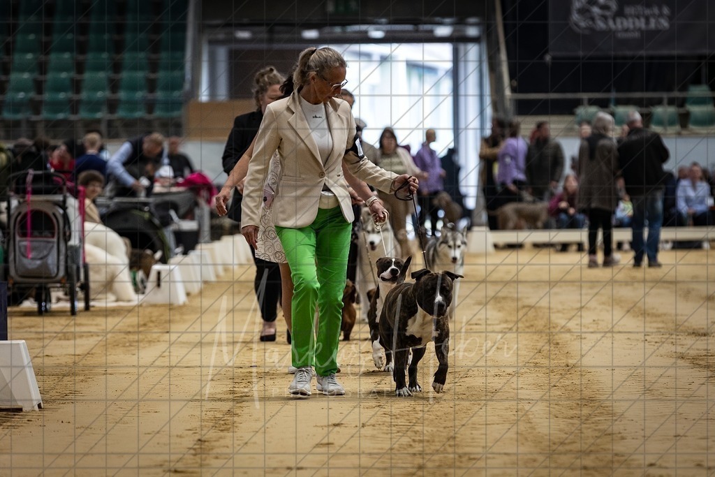 DS - Paarklasse_0020 | Markus Heber Photography