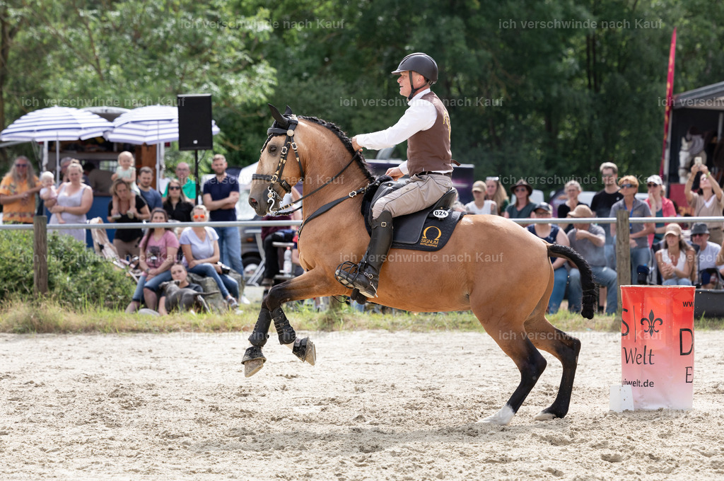 24 Mitja HinzpeterSpeedS-46 | working equitationturnier fotograf videograf stoibphotography marixx film working equitation deutschland reitsport turnierfotografie eventfotografie equestrian events