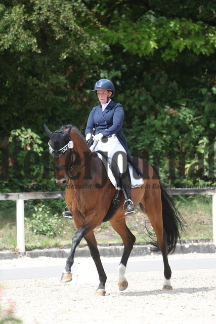 Waiblingen_2023_Prfg.Nr.12_Intermediaire I_Beate Siegle_Ben 420 (2) | Alle Fotos der Reiterjournal Fotografin Doris Matthaes im Reiterjournal Online-Fotoshop. - Realisiert mit Pictrs.com